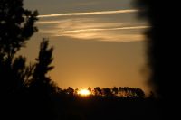 Sonnenaufgang bei Balsareny