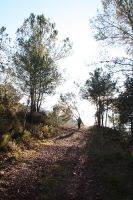 Wandern bei Cirat