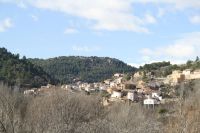 Olba