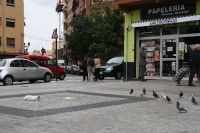 Na wann kommen den die blöden palomas endlich her und lassen sich fressen?¿
