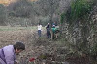 Arbeitseinsatz auf der Gemeinschafts-Huerta