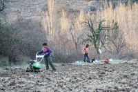 Arbeitseinsatz auf der Gemeinschafts-Huerta