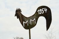 IMG_0082.jpg