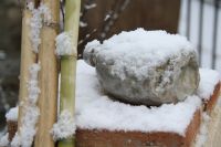 Flachmann im Schnee