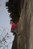 IMG_1557.jpg
