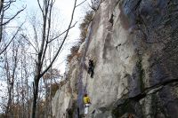 IMG_1742.jpg
