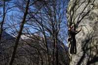 IMG_2076.jpg