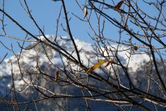 Landschaft