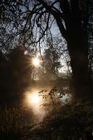 Morgenstimmung im Spreewald