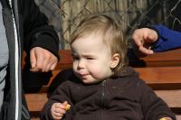 Friederike